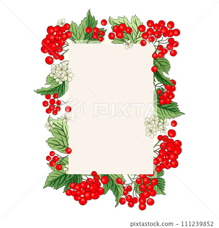 Viburnum rowan rectangle red berry vector frame rustic floral bouquet illustration 111239852