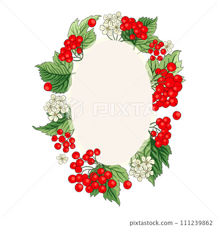 Viburnum rowan red oval berry vector frame rustic floral bouquet illustration 111239862