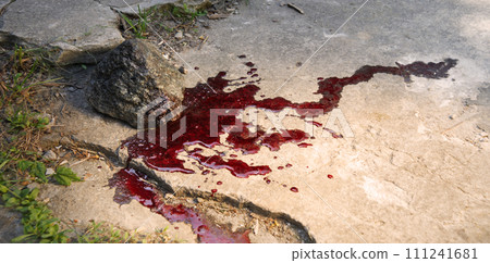 Bloodied stone lies on the ground Bloodied stone lies on the ground 111241681