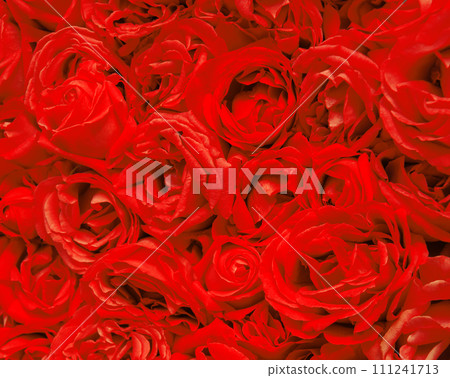 Natural background of rose petals 111241713