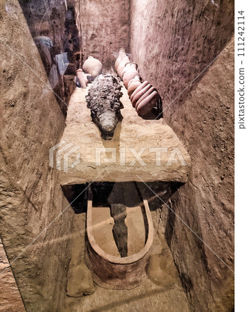 Statues of the Great Temple of Amun at sunset, Karnak Temple most famous view, Luxor, Egypt 111242114