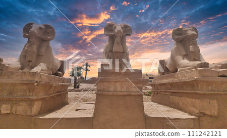 Statues of the Great Temple of Amun at sunset, Karnak Temple most famous view, Luxor, Egypt Statues of the Great Temple of Amun at sunset, Karnak Temple most famous view, Luxor, Egypt 111242121