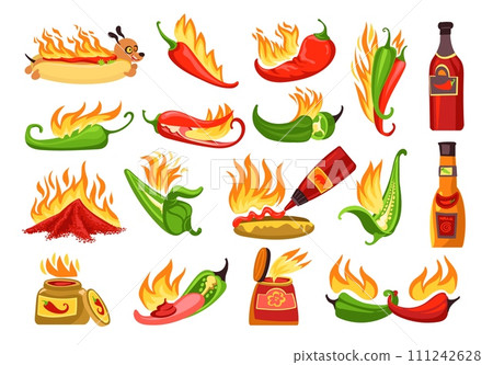 Cartoon hot sauce. Chili ketchups in different bottles. Salsa jars. Red or green peppers. Spicy hotdog. Paprika taste. Burning jalapeno. Mexican kitchen. Spice products. Splendid vector set Cartoon hot sauce. Chili ketchups in different bottles. Salsa jars. Red or green peppers. Spicy hotdog. Paprika taste. Burning jalapeno. Mexican kitchen. Spice products. Splendid vector set 111242628