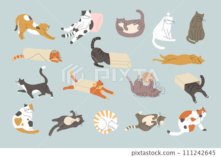 Cute cats. Domestic animal behavior funny cats and kitten playing relaxing sitting and sleeping recent vector stylized illustrations in flat style 111242645