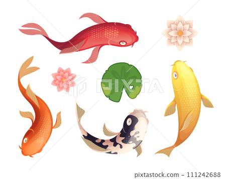 Koi fish. Asian authentic swimming animal top view exact vector aquatic template in cartoon style Koi fish. Asian authentic swimming animal top view exact vector aquatic template in cartoon style 111242688