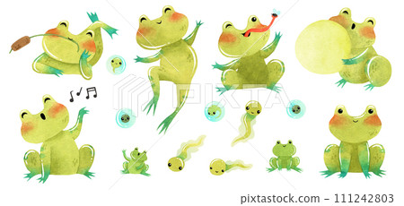 Cute funny green frog, toad watercolor illustration with eggs and tadpole clipart 111242803