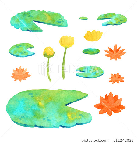 Pond plants watercoolor illustration with water lilies clipart Pond plants watercoolor illustration with water lilies clipart 111242825