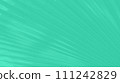 Abstract cold green panoramic, background with palm leaves lines pattern 111242829