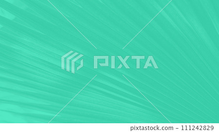 Abstract cold green panoramic, background with palm leaves lines pattern Abstract cold green panoramic, background with palm leaves lines pattern 111242829