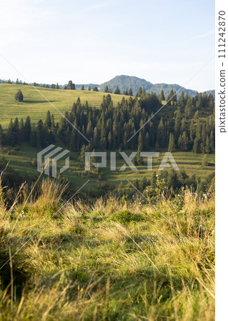 Wonderful nature scenery with forested rolling hills and green grassy meadows in morning light. Wanderlust travel concept Wonderful nature scenery with forested rolling hills and green grassy meadows in morning light. Wanderlust travel concept 111242870
