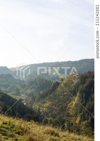 Wonderful nature scenery with forested rolling hills and green grassy meadows in morning light. Wanderlust travel concept Wonderful nature scenery with forested rolling hills and green grassy meadows in morning light. Wanderlust travel concept 111242881
