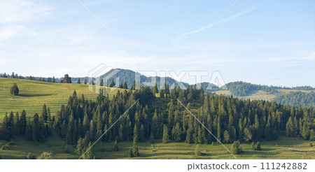 Wonderful nature scenery with forested rolling hills and green grassy meadows in morning light. Wanderlust travel concept Wonderful nature scenery with forested rolling hills and green grassy meadows in morning light. Wanderlust travel concept 111242882
