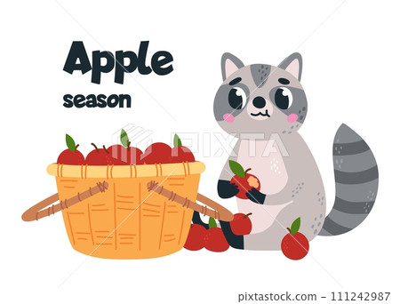 Cute cartoon raccoon eat apples. Harvest time, fresh fruits, market card. Apple season print design, vitamin organic fruit in basket vector scene Cute cartoon raccoon eat apples. Harvest time, fresh fruits, market card. Apple season print design, vitamin organic fruit in basket vector scene 111242987