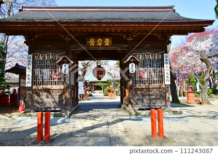Sendai, the capital of forests, spring, Mt. Atago, Atago Shrine, gate 111243087