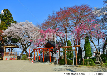 森林之都仙台、春天愛宕神社、勝瀧神社、三靈神社 森林之都仙台、春天愛宕神社、勝瀧神社、三靈神社 111243088