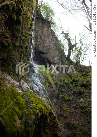 waterfall in the forest waterfall in the forest 111243458