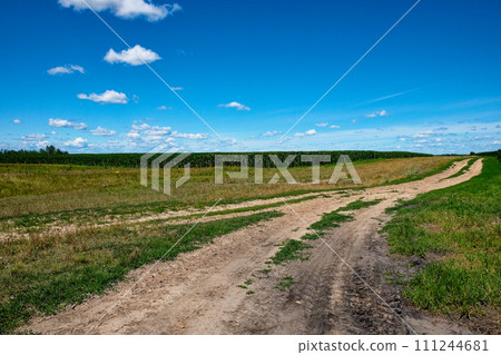 A dirt path winds through a green field under a blue sky dotted with fluffy clouds, leading towards the horizon. A dirt path winds through a green field under a blue sky dotted with fluffy clouds, leading towards the horizon. 111244681