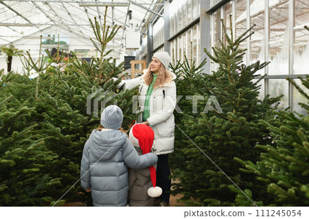 Mother and children buying a Christmas norman tree in a shop Mother and children buying a Christmas norman tree in a shop 111245054