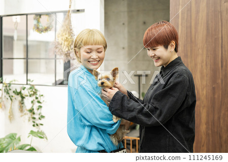 Female staff holding a Yorkshire terrier at a dog salon Female staff holding a Yorkshire terrier at a dog salon 111245169