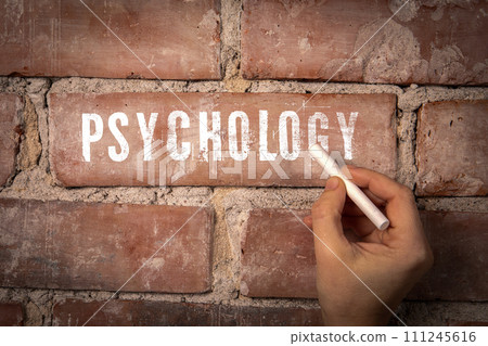 Psychology. Text written with white chalk on a red brick background 111245616
