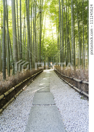 Kokokuji Kamakura 111245624