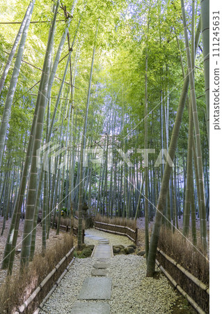 Kokokuji Kamakura Kokokuji Kamakura 111245631