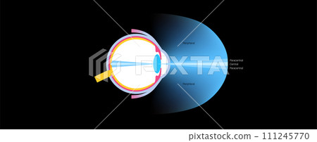 Peripheral vision poster Peripheral vision poster 111245770