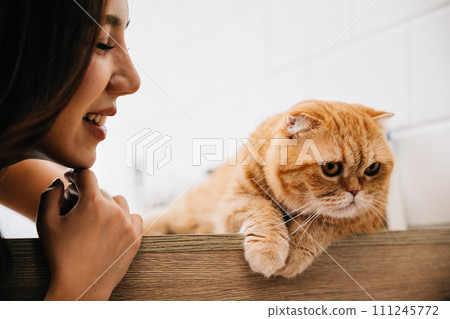 A woman and her playful Scottish Fold cat share a moment of happiness and togetherness on a table at home. Their bond is a heartwarming illustration of pet love. 111245772