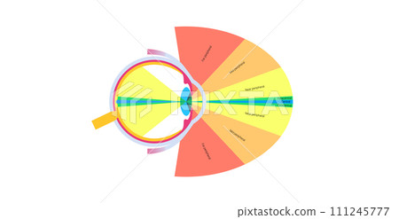 Peripheral vision poster 111245777