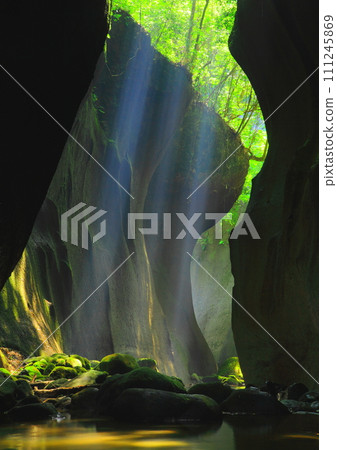 Yufu River Valley shining in the light (Beppu City, Yufu City, vertical composition) 111245869