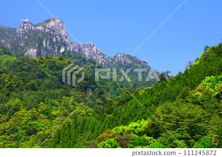 鮮綠的大隱山(延岡市) 鮮綠的大隱山(延岡市) 111245872
