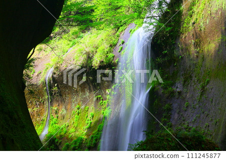 Fresh green Yufu River Valley (Beppu City/Yufu City) 111245877