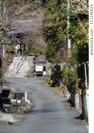 鎌倉1月24日覺園寺5露梅 鎌倉1月24日覺園寺5露梅 111246024