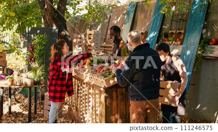 Young farmer serving client with various produce and selling homegrown farm veggies at local food market. Female customer buying fresh organic fruits and vegetables, farming nutrition. Young farmer serving client with various produce and selling homegrown farm veggies at local food market. Female customer buying fresh organic fruits and vegetables, farming nutrition. 111246575