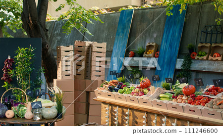 Fresh small business rural stand with colorful bio produce, healthy organic homegrown produce. Bio tomatoes, onions, zucchini, pumpkin or squash sold at natural eco farmers market. Fresh small business rural stand with colorful bio produce, healthy organic homegrown produce. Bio tomatoes, onions, zucchini, pumpkin or squash sold at natural eco farmers market. 111246600