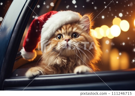 AI-generated content. Cute cat in a Santa Claus costume Christmas blurred bokeh lights. Generative AI AI-generated content. Cute cat in a Santa Claus costume Christmas blurred bokeh lights. Generative AI 111246715