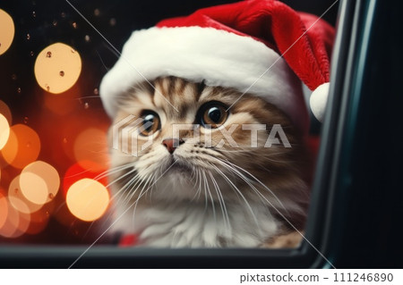 AI-generated content. Cute cat in a Santa Claus costume Christmas blurred bokeh lights. Generative AI AI-generated content. Cute cat in a Santa Claus costume Christmas blurred bokeh lights. Generative AI 111246890