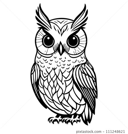 owl animal illustration sketch hand draw black 111248621