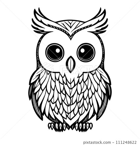 owl animal illustration sketch hand draw black 111248622