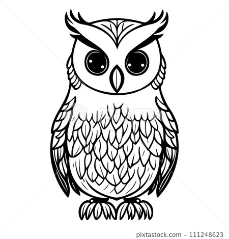 owl animal illustration sketch hand draw black 111248623