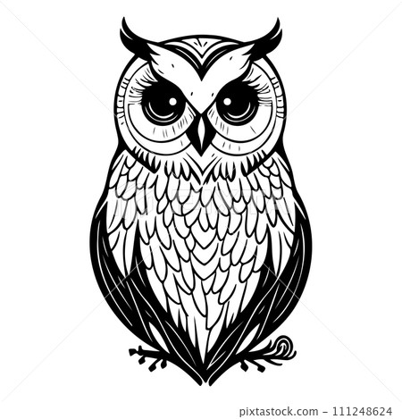 owl animal illustration sketch hand draw black 111248624