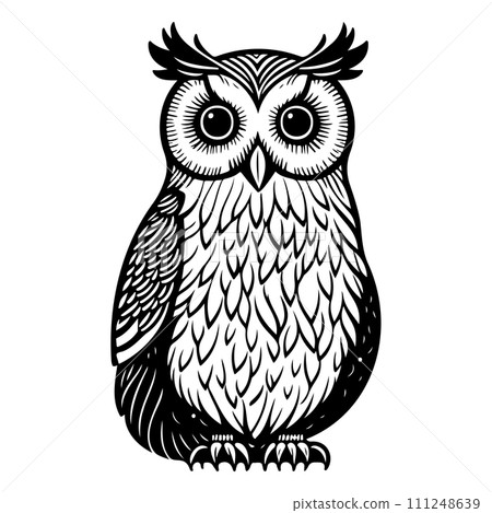 owl animal illustration sketch hand draw black owl animal illustration sketch hand draw black 111248639