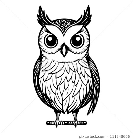 owl animal illustration sketch hand draw black 111248666