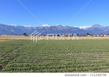 Winter Azumino and Northern Alps Winter Azumino and Northern Alps 111248736