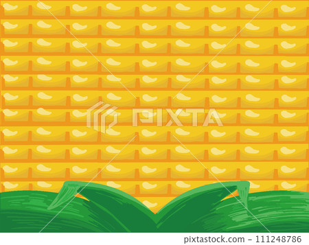 Corn Hand-drawn simple background illustration of corn and leaves Corn Hand-drawn simple background illustration of corn and leaves 111248786