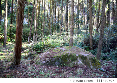 西鄉隆森恩座石 西鄉隆森恩座石 111249797