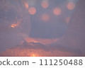 透過冰層可見模糊 111250488