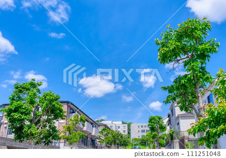 Blue sky and green residential area 111251048
