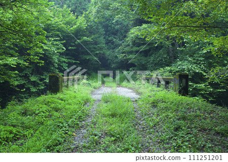 森林裡的碎石路和老石橋 111251201