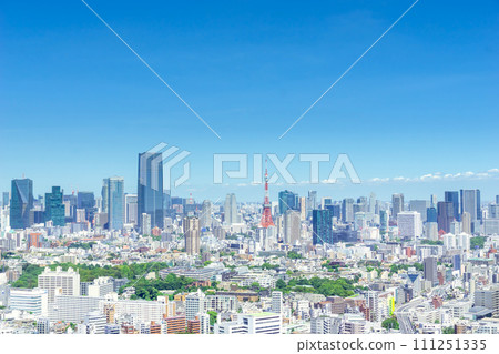 Tokyo scenery 2023 111251335